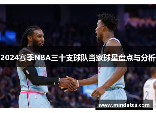 2024赛季NBA三十支球队当家球星盘点与分析